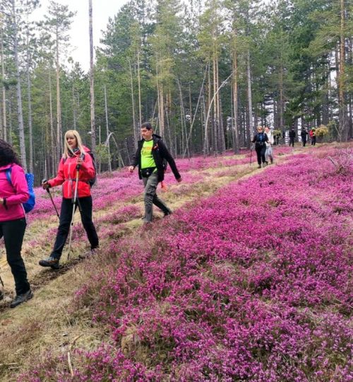 Planinarenje na Tari